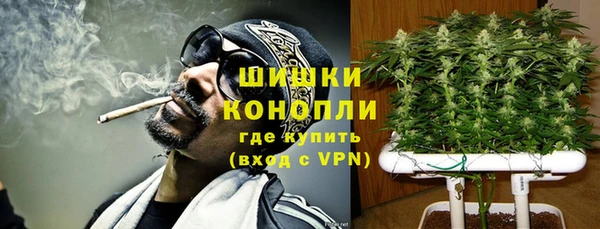 твердый Белокуриха